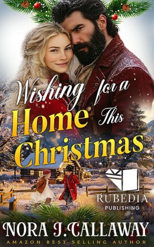 Wishing for a Home This Christmas